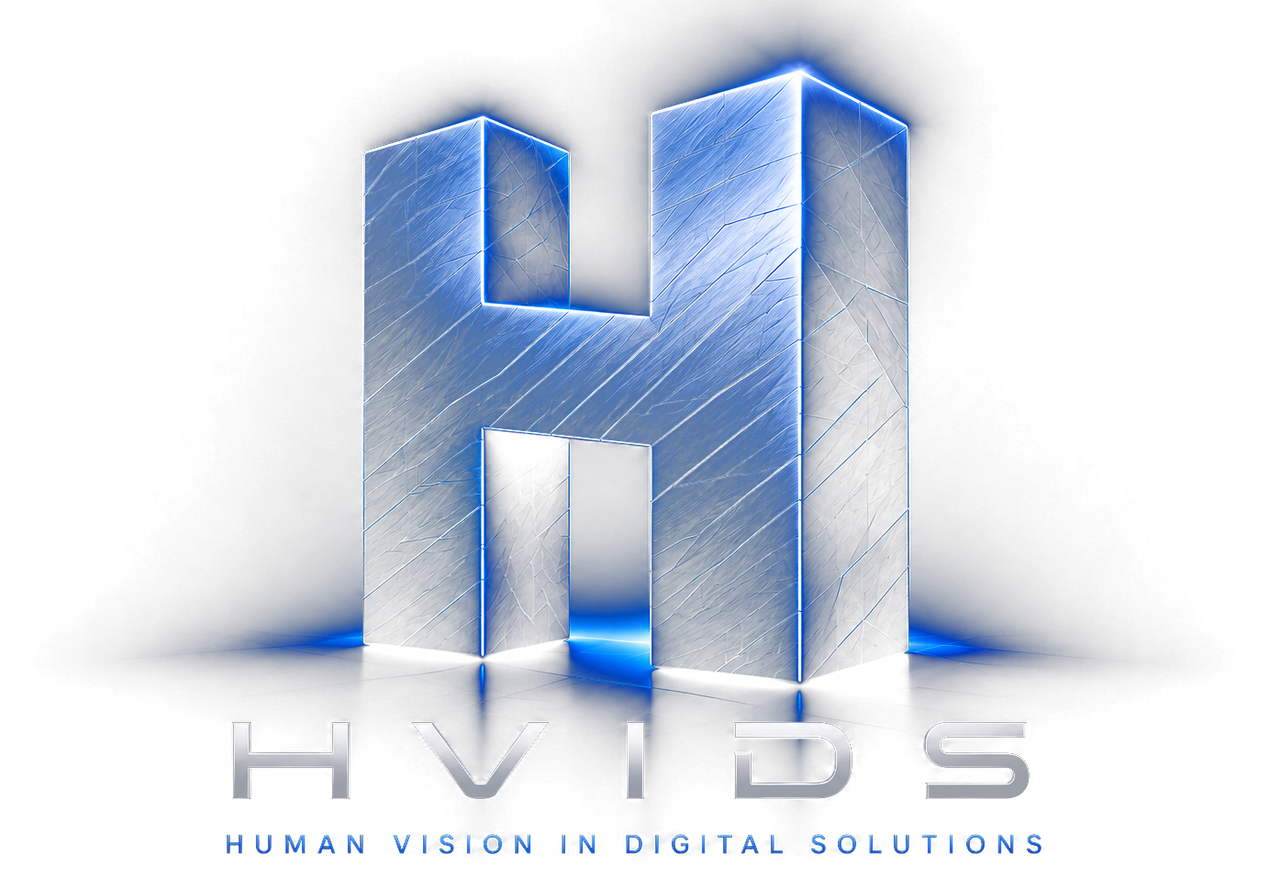 HVIDS — Human Vision In Digital Solutions
